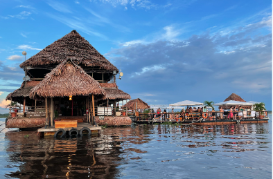 Dr. Aisha Khatib’s experiences swimming with the dolphins in the Amazon.